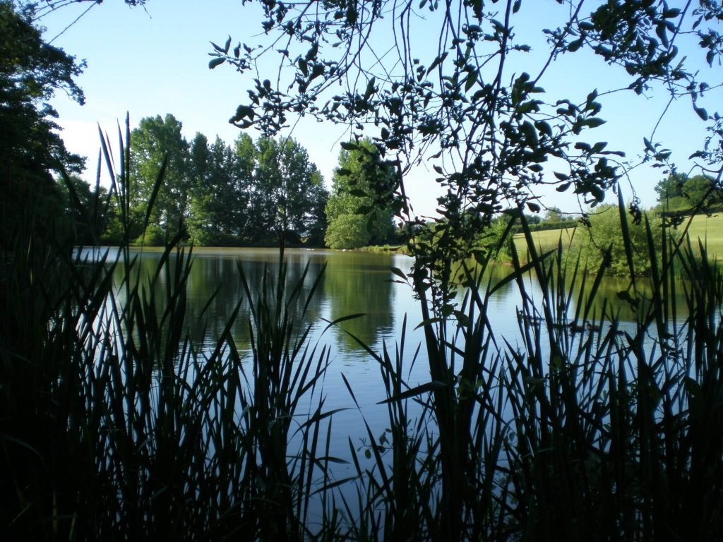 Claverhambury Carp Lakes