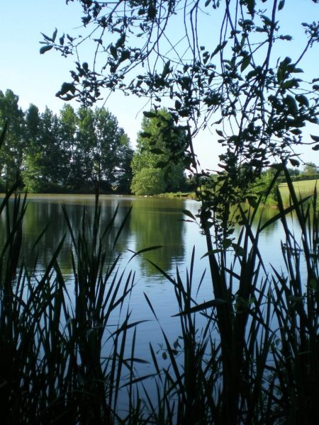 Claverhambury Carp Lakes