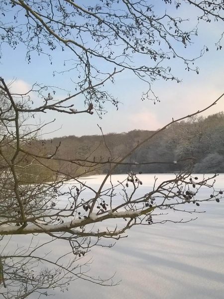 Claverhambury Carp Lakes